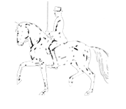 Reitinstitut von Neindorff Stiftung