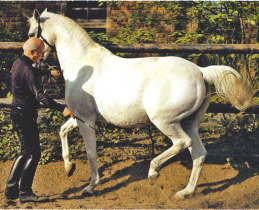 jub60schnitzerulrich