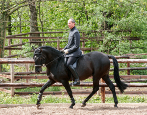 neindorff-galerie-17