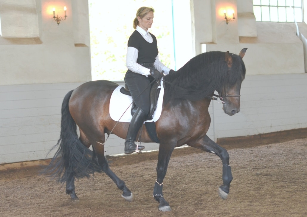 2012-DSC_0123- Monn - Airoso für HP